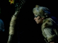 The Jungle Book in Gymnase Theater, Paris-France