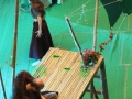 The Jungle Book in India